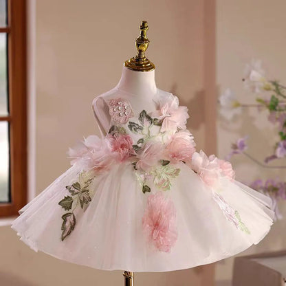 Floral Embroidered Tulle Dress